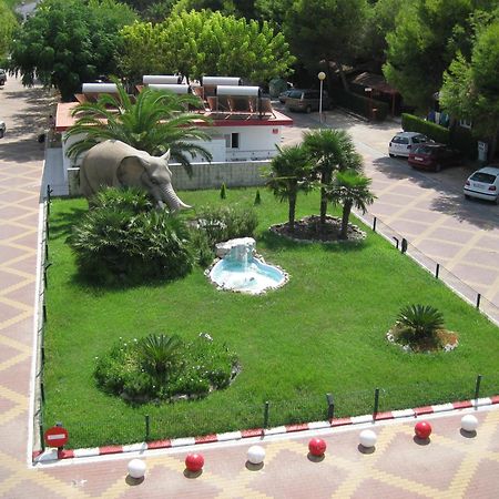 Camping L'Alqueria Gandía Exterior foto