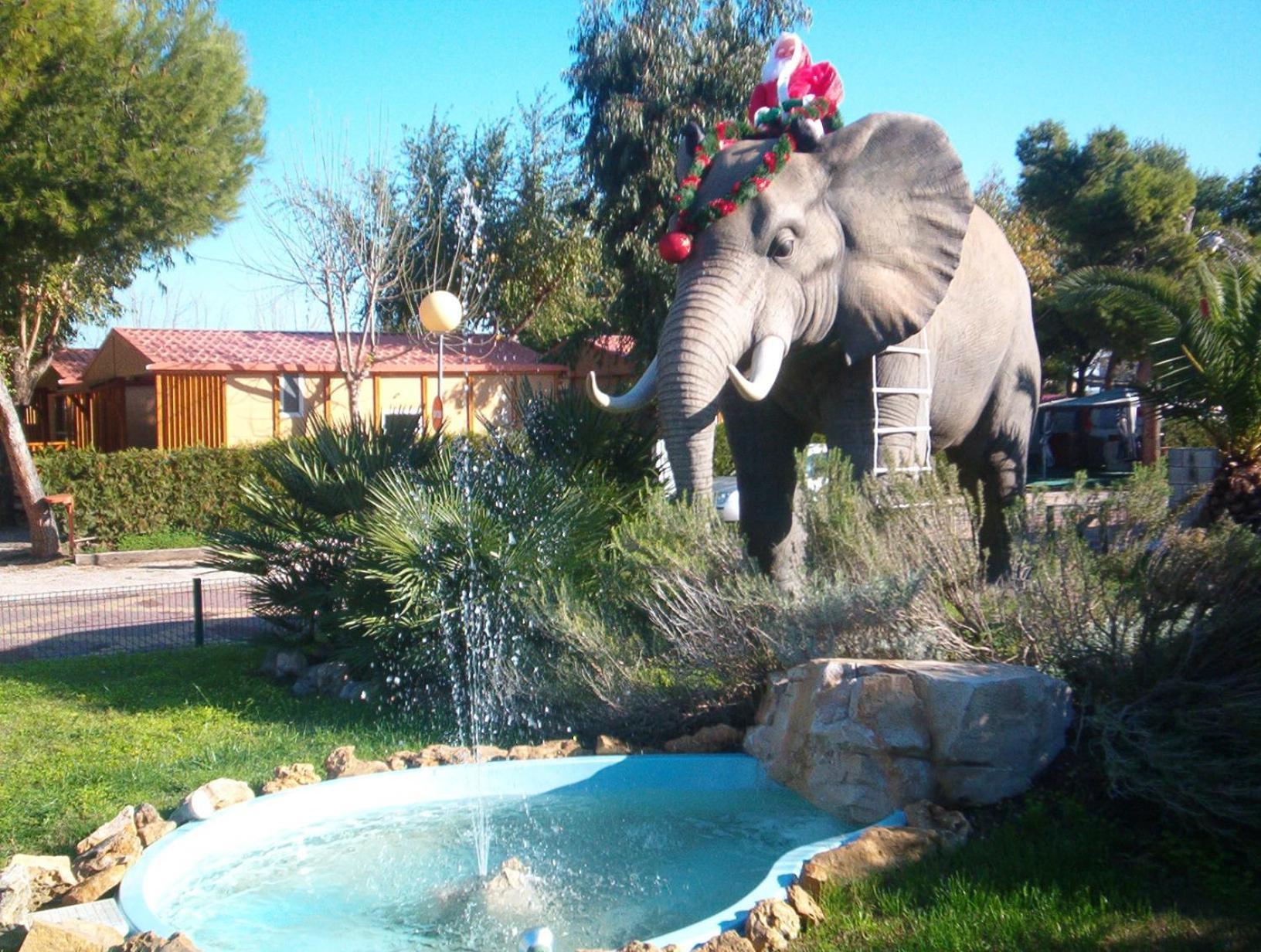 Camping L'Alqueria Gandía Exterior foto
